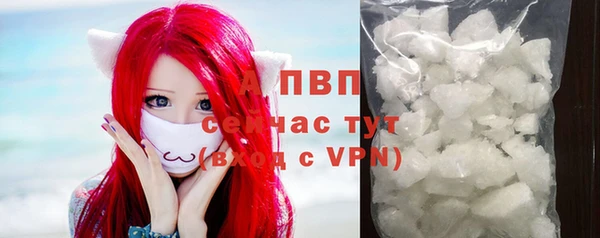 шишки Козловка