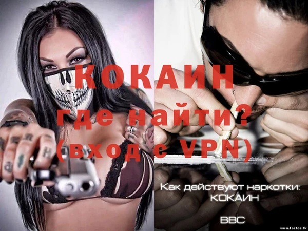 шишки Козловка