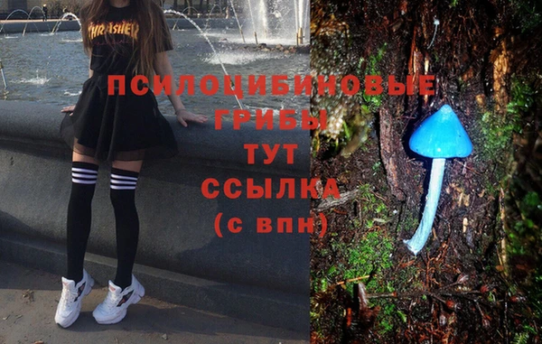 шишки Козловка