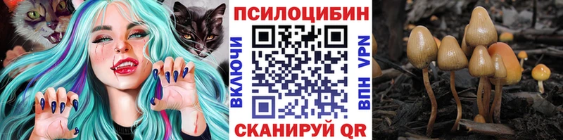 Галлюциногенные грибы прущие грибы  закладки  Лакинск 